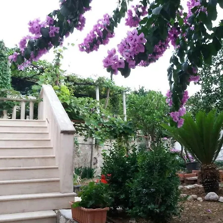 Apartamento Vicko Vodnica Zaton (Dubrovnik-Neretva)