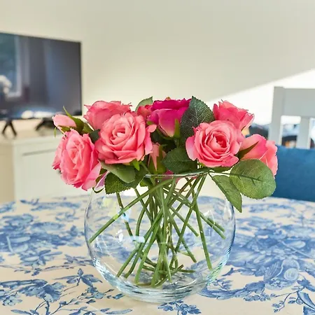 Vicko Vodnica Apartment Zaton (Dubrovnik-Neretva)